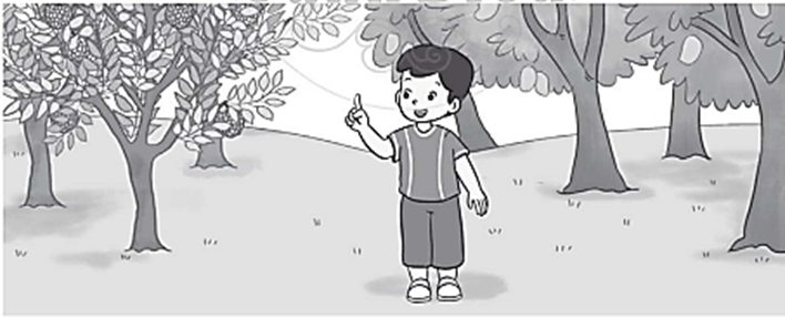 Vở bài tập Toán lớp 2 Cánh diều Bài 12: Bảng cộng (có nhớ) trong phạm vi 20 (trang 20)