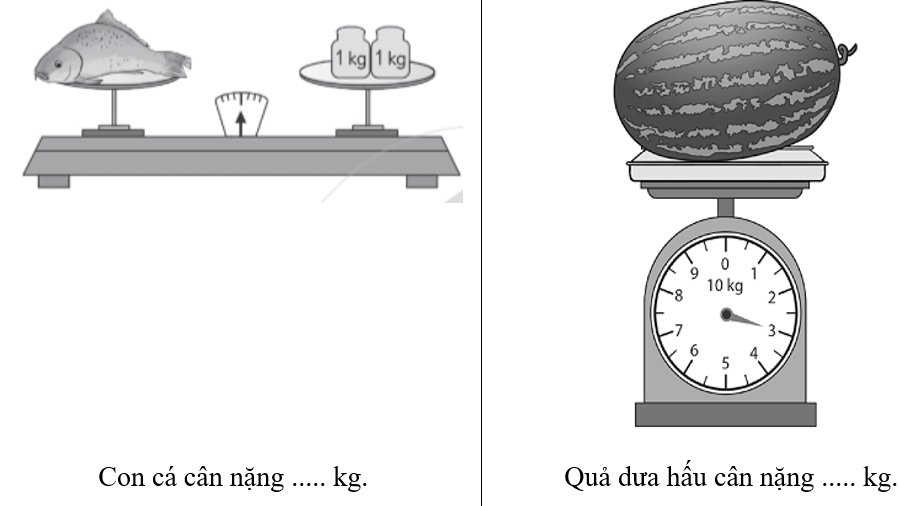 Vở bài tập Toán lớp 2 Cánh diều Bài 38: Ki-lô-gam (trang 62)