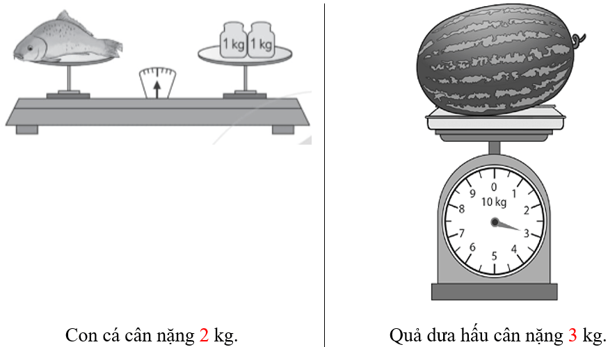 Vở bài tập Toán lớp 2 Cánh diều Bài 38: Ki-lô-gam (trang 62)