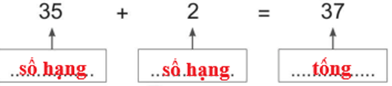Vở bài tập Toán lớp 2 Cánh diều Bài 5: Số hạng - tổng (trang 12)