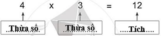 Vở bài tập Toán lớp 2 Cánh diều Bài 54: Thừa số - Tích (trang 9)