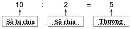 Vở bài tập Toán lớp 2 Cánh diều Bài 62: Số bị chia – Số chia - Thương (trang 24)