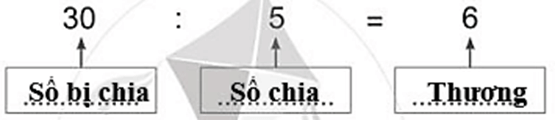 Vở bài tập Toán lớp 2 Cánh diều Bài 62: Số bị chia – Số chia - Thương (trang 24)