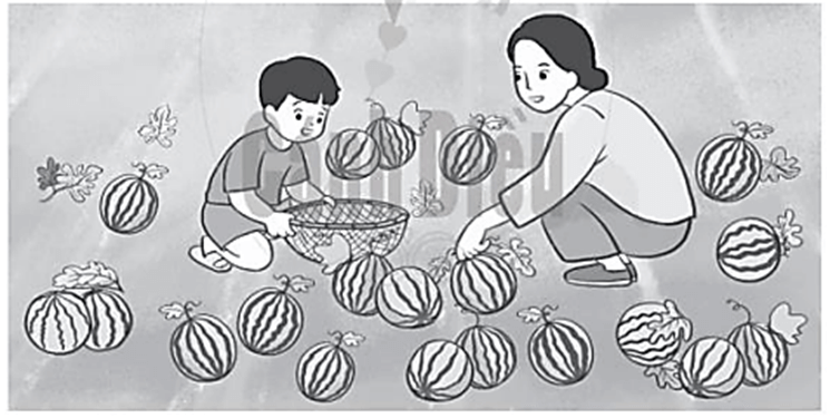 Vở bài tập Toán lớp 2 Cánh diều Bài 96: Ôn tập về số và các phép tính trong phạm vi 1000 (tiếp theo) (trang 95)