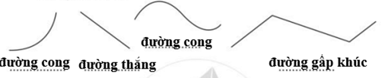 Vở bài tập Toán lớp 2 Cánh diều Bài 97: Ôn tập về hình học và đo lường (trang 97)