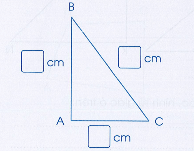 Vở bài tập Toán lớp 3 Cánh diều trang 96, 97, 98 Bài 49: Hình tam giác. Hình tứ giác