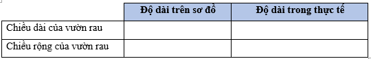 Vở bài tập Toán lớp 5 Cánh diều Bài 46: Luyện tập chung