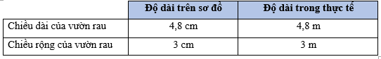 Vở bài tập Toán lớp 5 Cánh diều Bài 46: Luyện tập chung