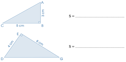 Vở bài tập Toán lớp 5 Cánh diều Bài 51: Diện tích hình tam giác