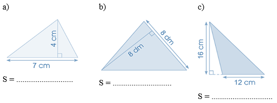 Vở bài tập Toán lớp 5 Cánh diều Bài 51: Diện tích hình tam giác