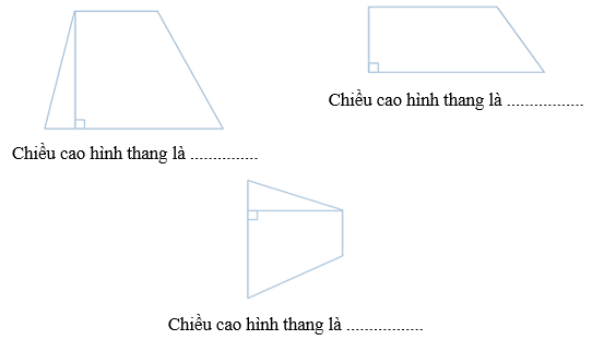 Vở bài tập Toán lớp 5 Cánh diều Bài 52: Hình thang