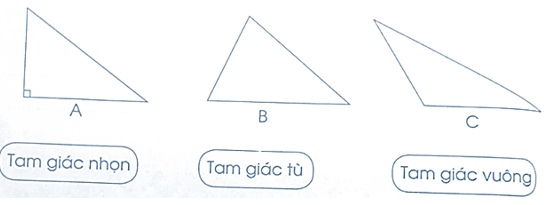 Vở bài tập Toán lớp 5 Cánh diều Bài kiểm tra số 4