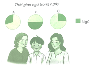 Vở bài tập Toán lớp 5 Chân trời sáng tạo Bài 62: Biểu đồ hình quạt tròn