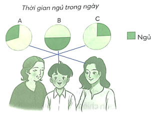 Vở bài tập Toán lớp 5 Chân trời sáng tạo Bài 62: Biểu đồ hình quạt tròn