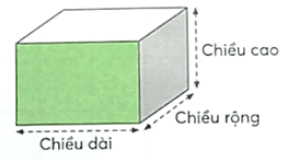 Vở bài tập Toán lớp 5 Chân trời sáng tạo Bài 75: Em làm được những gì?