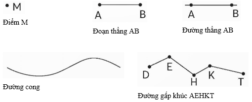 Vở bài tập Toán lớp 5 Chân trời sáng tạo Bài 94: Ôn tập hình phẳng và hình khối