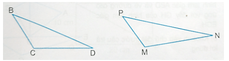 Vở bài tập Toán lớp 5 Kết nối tri thức Bài 25: Hình tam giác. Diện tích hình tam giác