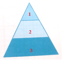 Vở bài tập Toán lớp 5 Kết nối tri thức Bài 26: Hình thang. Diện tích hình thang