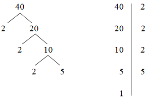 Phân tích số 40 ra thừa số nguyên tố bằng cách viết rẽ nhánh và theo cột dọc