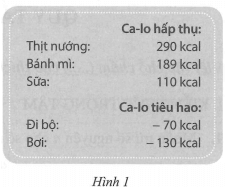 Mỗi người khi ăn thì sẽ hấp thụ ca-lo và khi hoạt động thì sẽ tiêu hao ca-lo