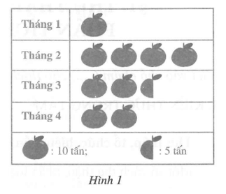 Sau khi ………… và tổ chức dữ liệu, ta cần biểu diễn dữ liệu đó ở dạng thích hợp