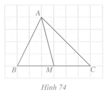 Trong tam giác ABC (Hình 74), đoạn thẳng AM nối……với…..của cạnh BC