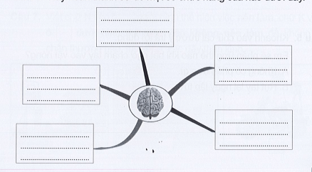 Vở bài tập Tự nhiên xã hội lớp 3 trang 57, 58, 59 , 60 Bài 17: Cơ quan thần kinh | Cánh diều