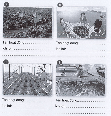 Vở bài tập Tự nhiên xã hội lớp 3 trang 26, 27, 28, 29 Bài 9: Hoạt động sản xuất nông nghiệp | Cánh diều