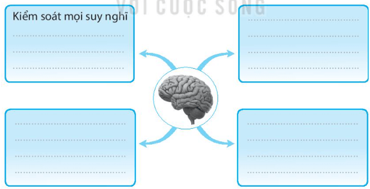 Vở bài tập Tự nhiên xã hội lớp 3 trang 57, 58 Bài 22: Cơ quan thần kinh | Kết nối tri thức (ảnh 3)
