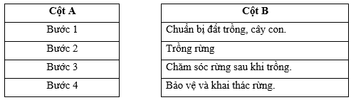 Em hãy nối thứ tự các bước ở cột A với mô tả các bước cơ bản trong quá trình trồng rừng ở cột B