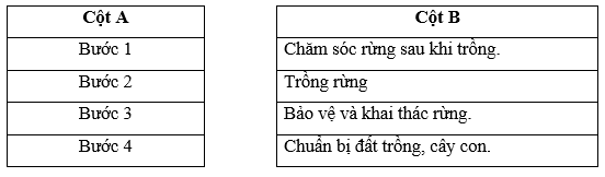 Em hãy nối thứ tự các bước ở cột A với mô tả các bước cơ bản trong quá trình trồng rừng ở cột B