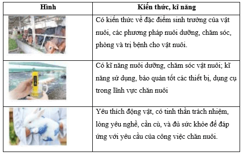 Quan sát Hình 8.4 SGK em hãy cho biết các kiến thức kĩ năng cần có để thực hiện các công việc