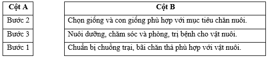 Em hãy nối thứ tự các bước ở cột A với mô tả các bước cơ bản trong quá trình chăn nuôi ở cột B