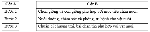 Em hãy nối thứ tự các bước ở cột A với mô tả các bước cơ bản trong quá trình chăn nuôi ở cột B