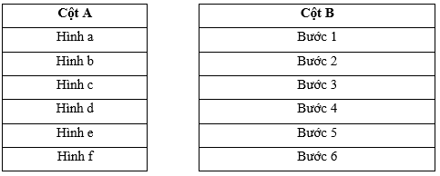 Nối các công việc trồng rừng bằng cây con có bầu đất ở cột A với thứ tự các bước ở cột B