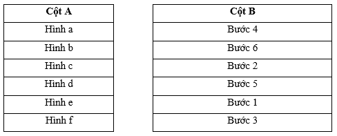 Nối các công việc trồng rừng bằng cây con có bầu đất ở cột A với thứ tự các bước ở cột B