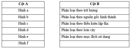 Nối tên các loại rừng ở cột A với cách phân loại rừng ở cột B sao cho phù hợp