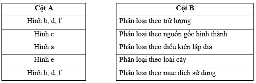 Nối tên các loại rừng ở cột A với cách phân loại rừng ở cột B sao cho phù hợp