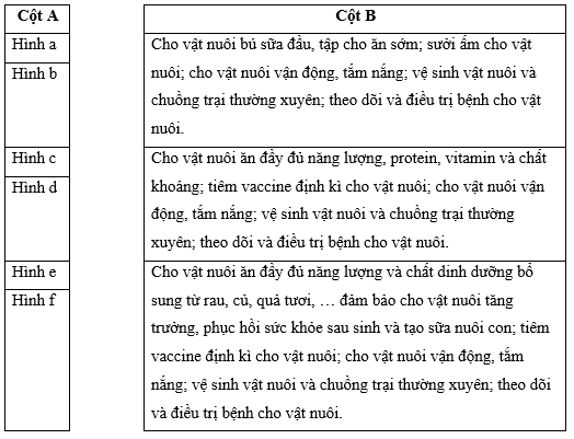 Nối các hình vật nuôi ở cột A với mô tả về cách chăm sóc ở cột B sao cho phù hợp