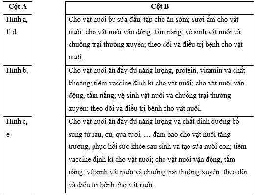 Nối các hình vật nuôi ở cột A với mô tả về cách chăm sóc ở cột B sao cho phù hợp