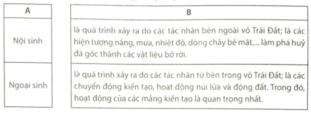 Em hãy nối ý ở cột A phù hợp với ý ở cột B Nội sinh Ngoại sinh