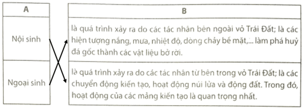 Em hãy nối ý ở cột A phù hợp với ý ở cột B Nội sinh Ngoại sinh