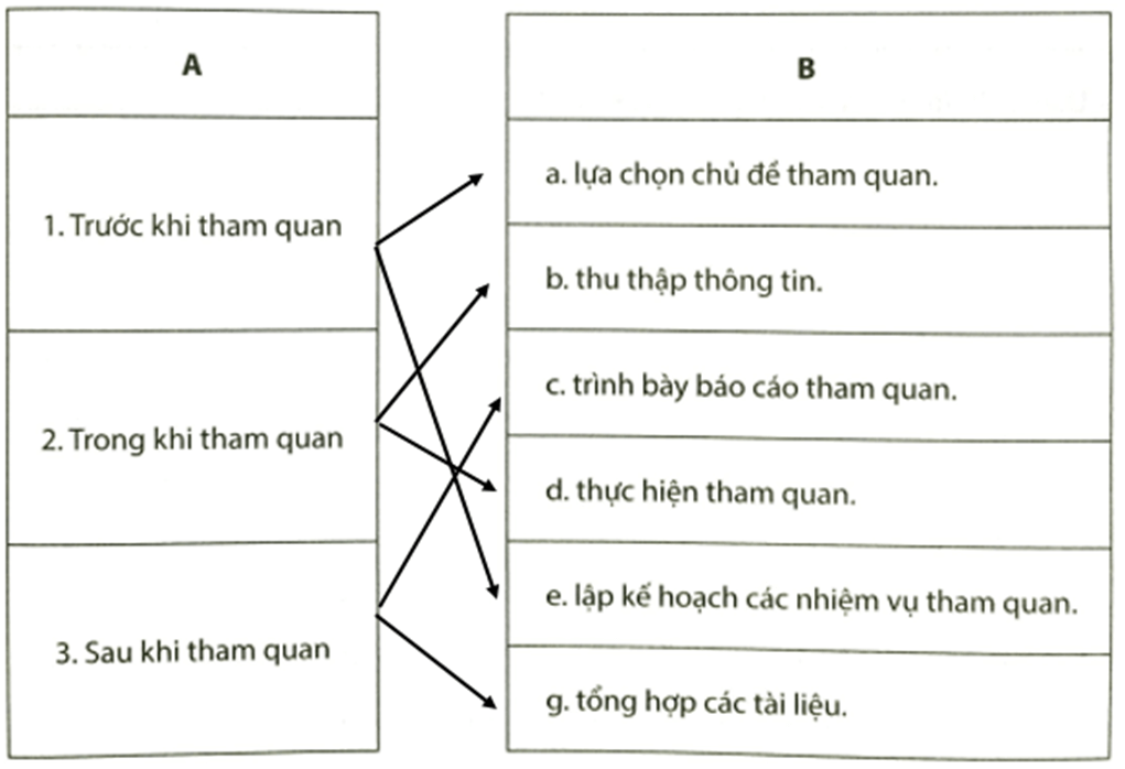 Em hãy nối ý ở cột A phù hợp với ý ở cột B Trước khi tham quan