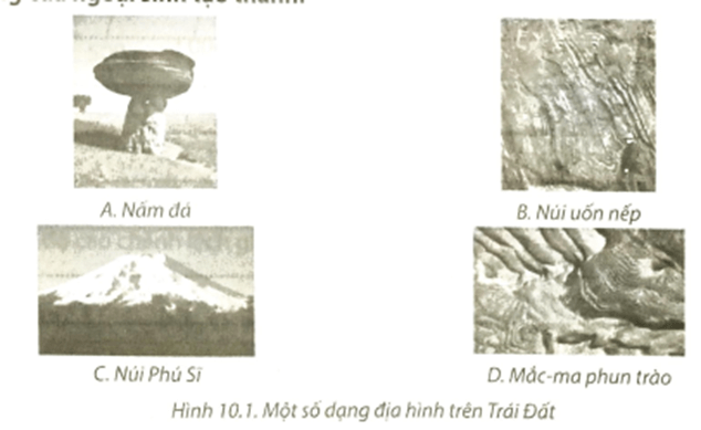 Dựa vào hình 10.1, em hãy cho biết dạng địa hình nào dưới đây do tác động