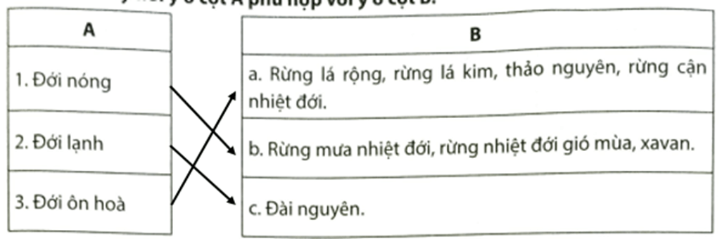 Em hãy nốii ý ở cột A phù hợp với ý ở cột B Đới nóng Đới lạnh