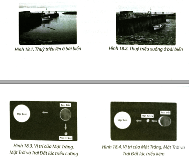 Dựa vào các hình 18.1, 18.2, 18.3, 18.4 và kiến thức đã học, em hãy cho biết