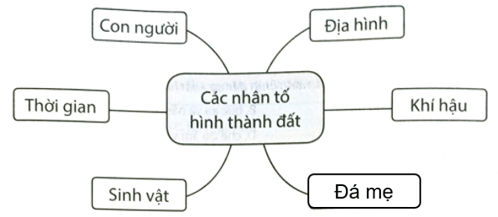 Quan sát sơ đồ dưới đây và hoàn thành các nội dung Các nhân tố hình thành đất