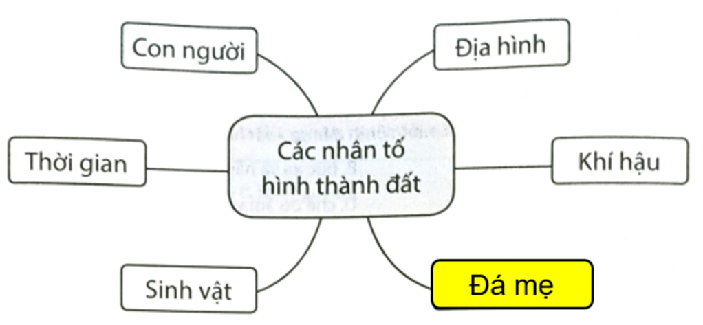 Quan sát sơ đồ dưới đây và hoàn thành các nội dung Các nhân tố hình thành đất