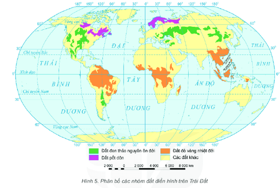 Dựa vào bản đồ hình 5, cho biết tên nhóm đất phổ biến ở nước ta