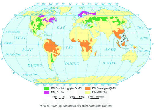 Xác định trên hình 5 nơi phân bố chủ yếu của ba nhóm đất